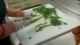 Thumbnail image for Hola Montgomery Sizzle Reel - TRT: 00:02:53