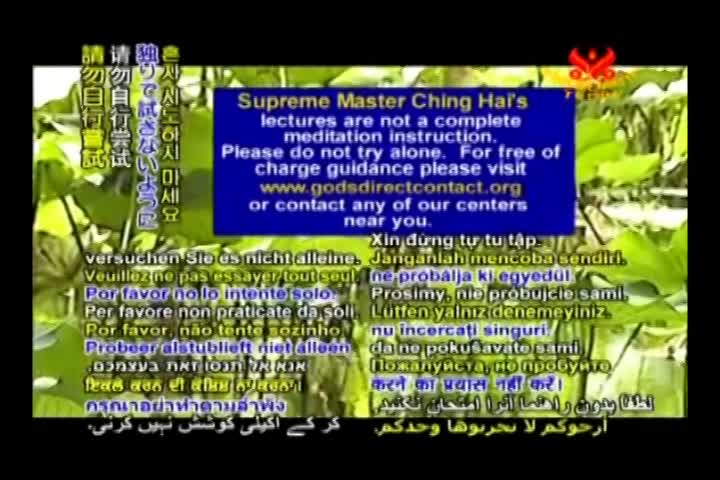 Thumbnail image for A Journey Through Aesthetic Realms