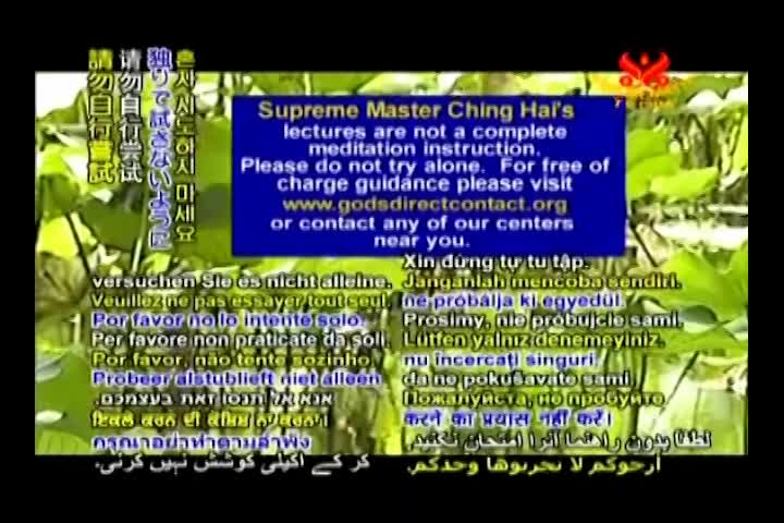 Thumbnail image for A Journey Through Aesthetic Realms