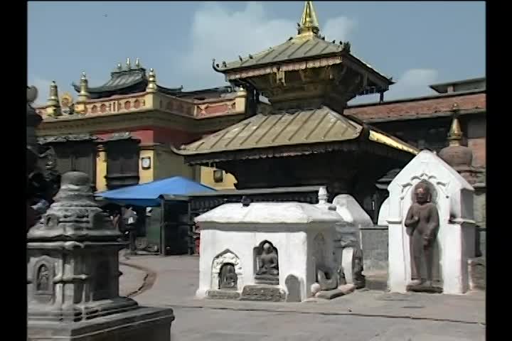 Thumbnail image for Healthy Living