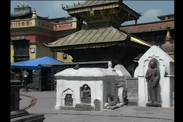 Thumbnail image for Healthy Living