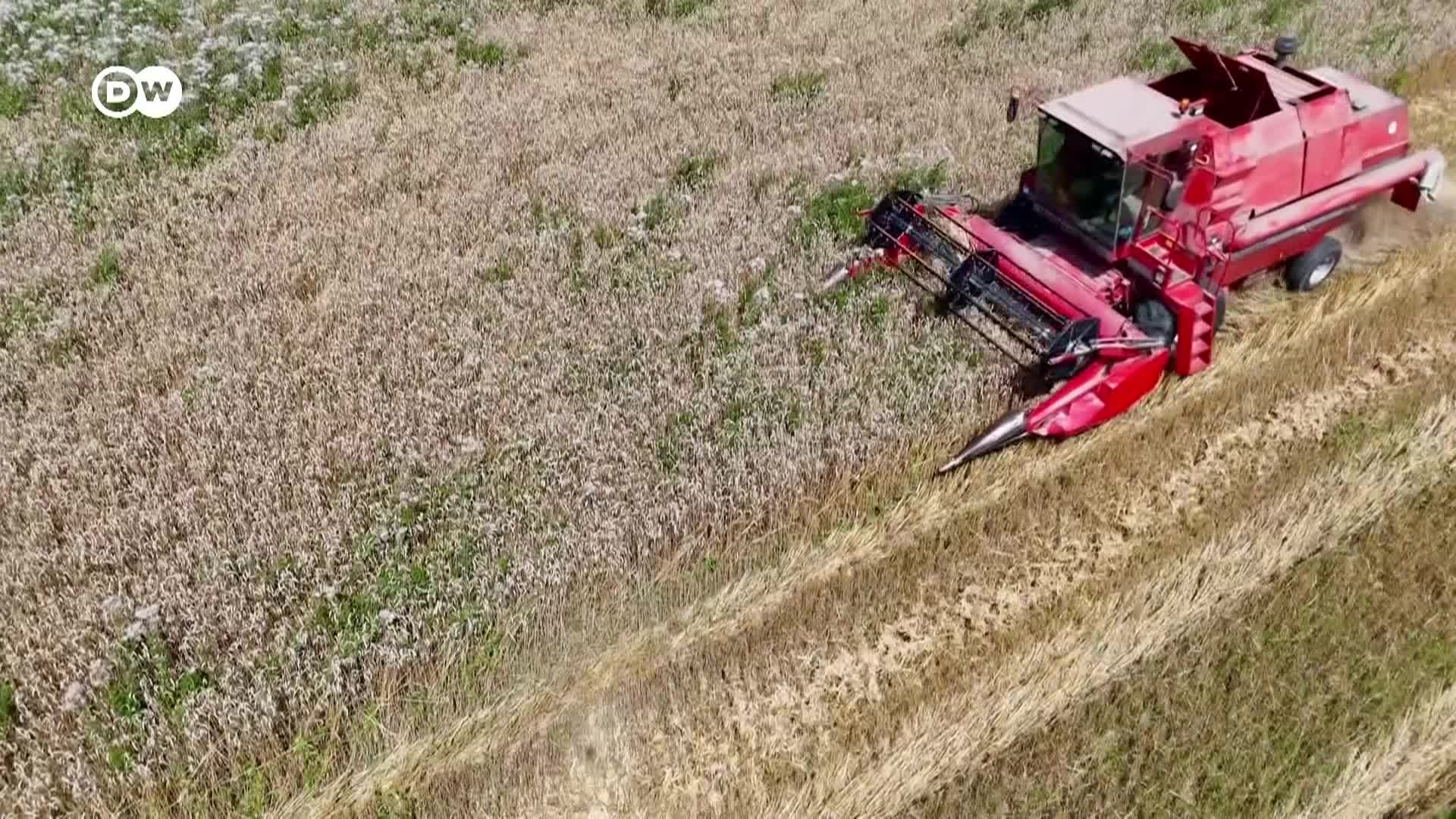 Thumbnail image for Tomorrow Today