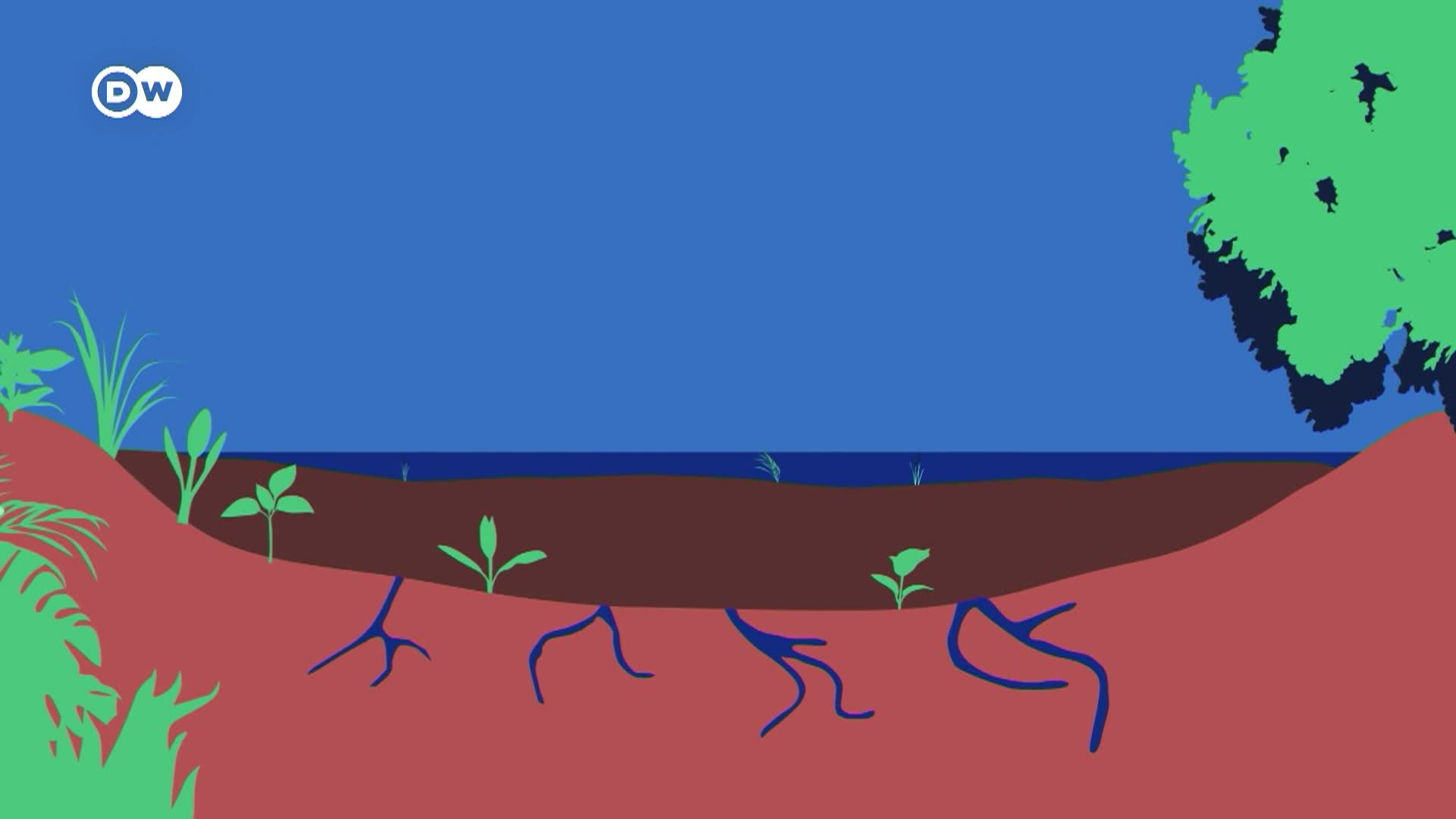 Thumbnail image for Tomorrow Today