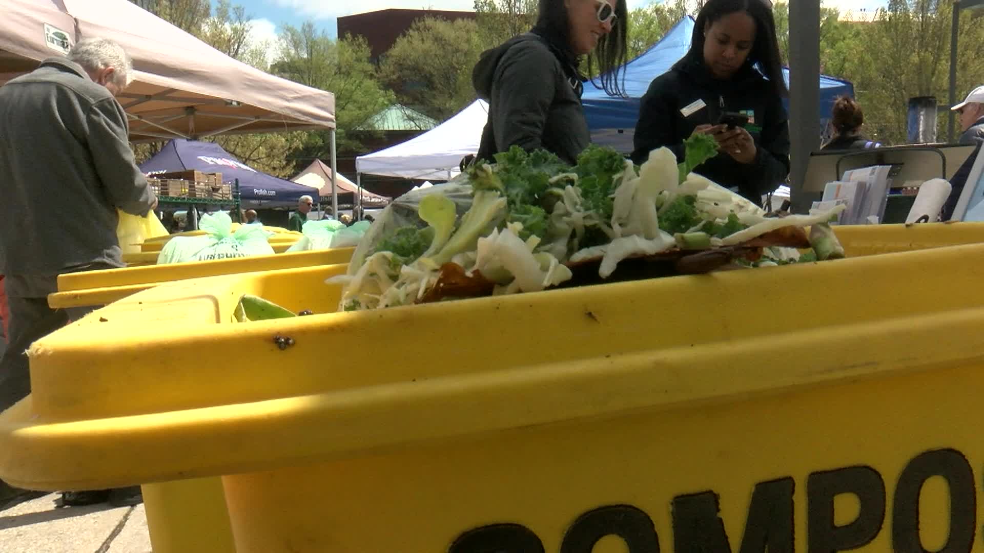 Thumbnail image for Montgomery County Department of Environmental Protection 2025 Year in Review