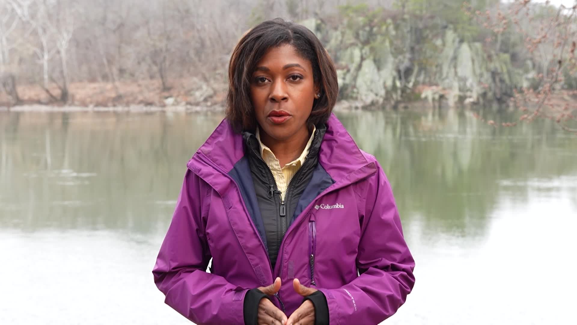 Thumbnail image for “The Pulse”